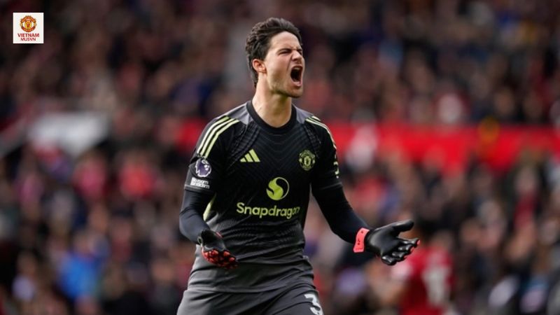 Senne Lammens đã có một trận đấu ra mắt Premier League hoàn hảo